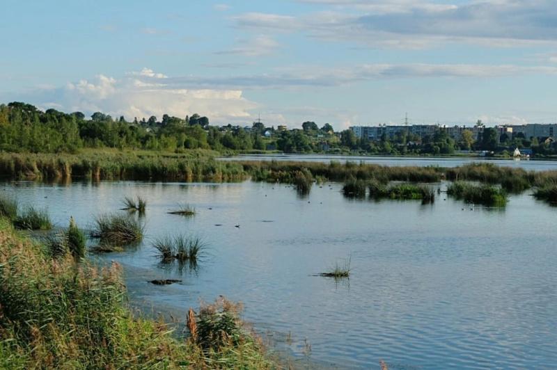 Из Питера на выходные: Можайская