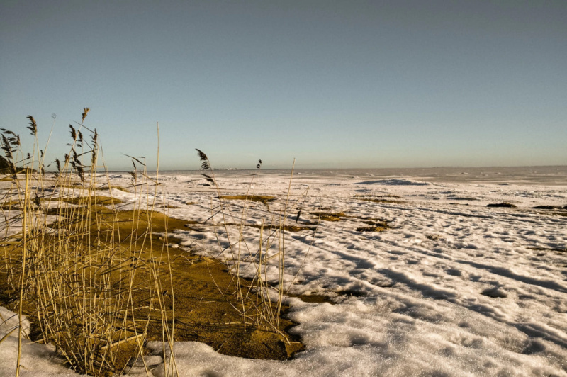 Из Питера на выходные: Комаровский берег