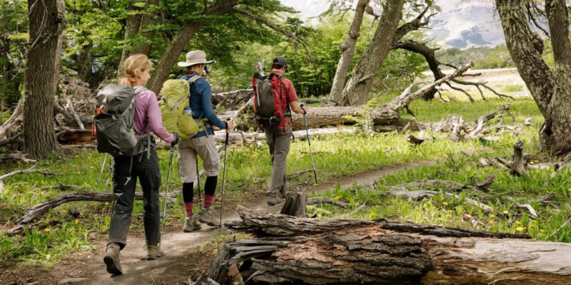 Сколько должен весить рюкзак?