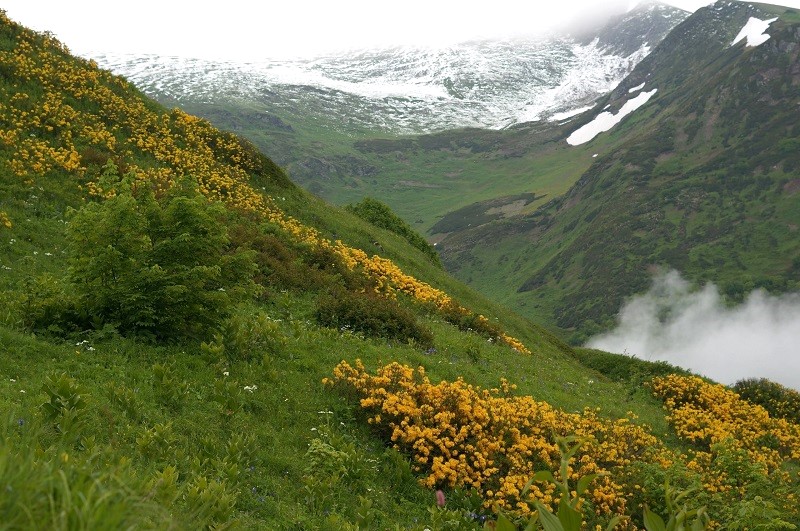 Детский поход через Кавказский Биосферный заповедник