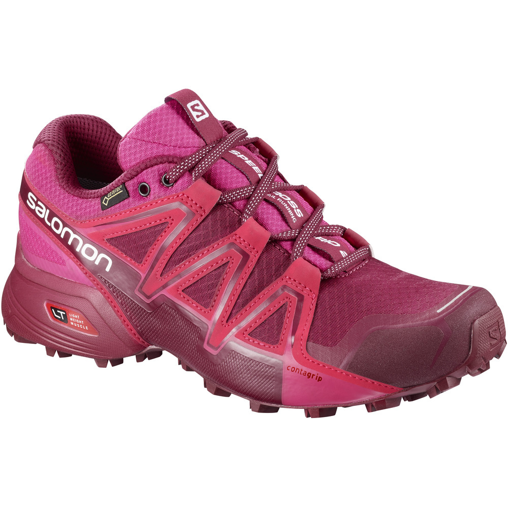 SALOMON SPEEDCROSS VARIO 2 GTX