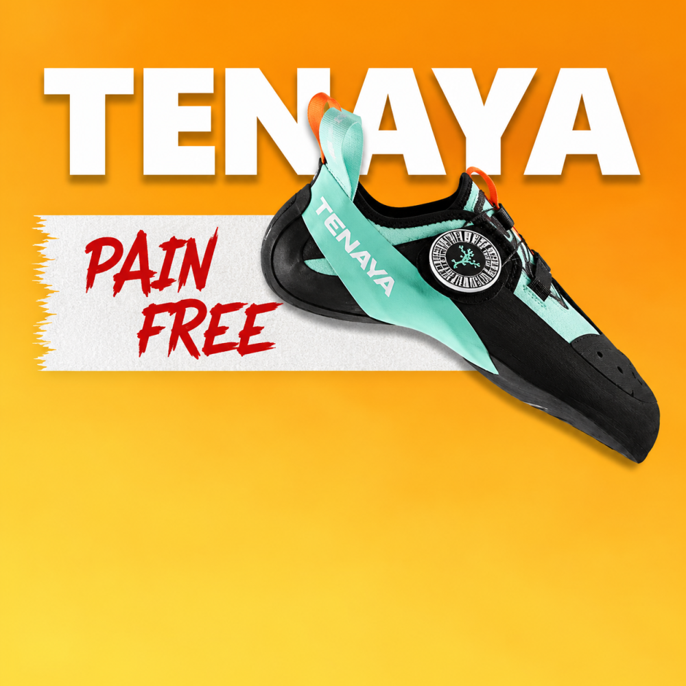 Tenaya -22%