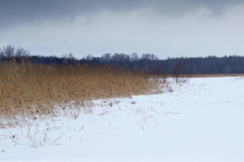 Из Питера на выходные: Петергоф