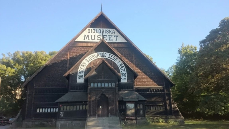 Скандинавия без машины и матраса