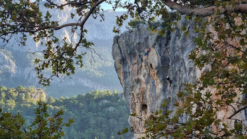 Сектор Ruzgarli bahсe