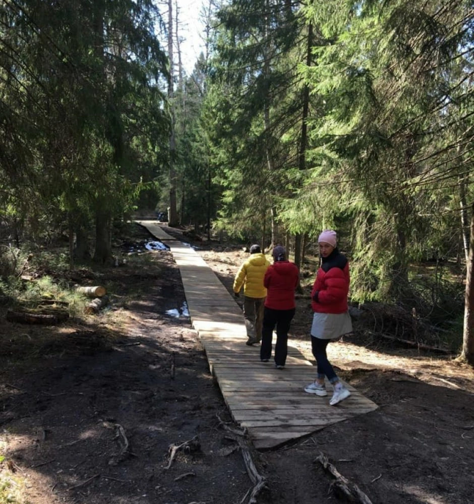 Внезапное начало экотропы