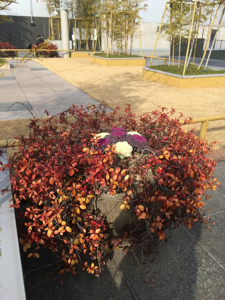 На крыше вокзала Киото