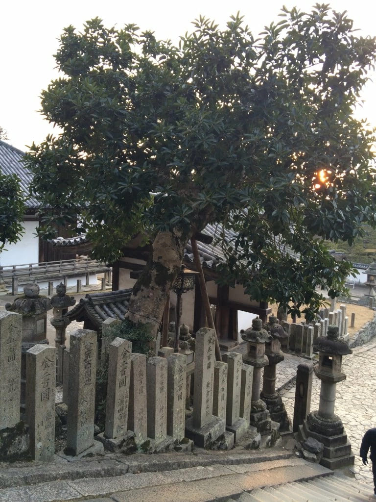 Кладбище в Наре