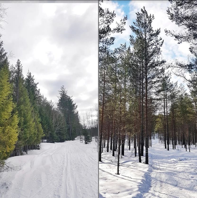 Лемболово и Сосново