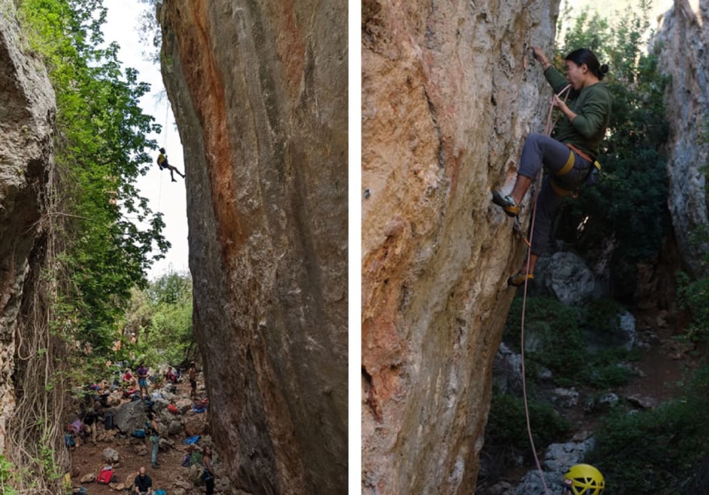 Сектор Koridor