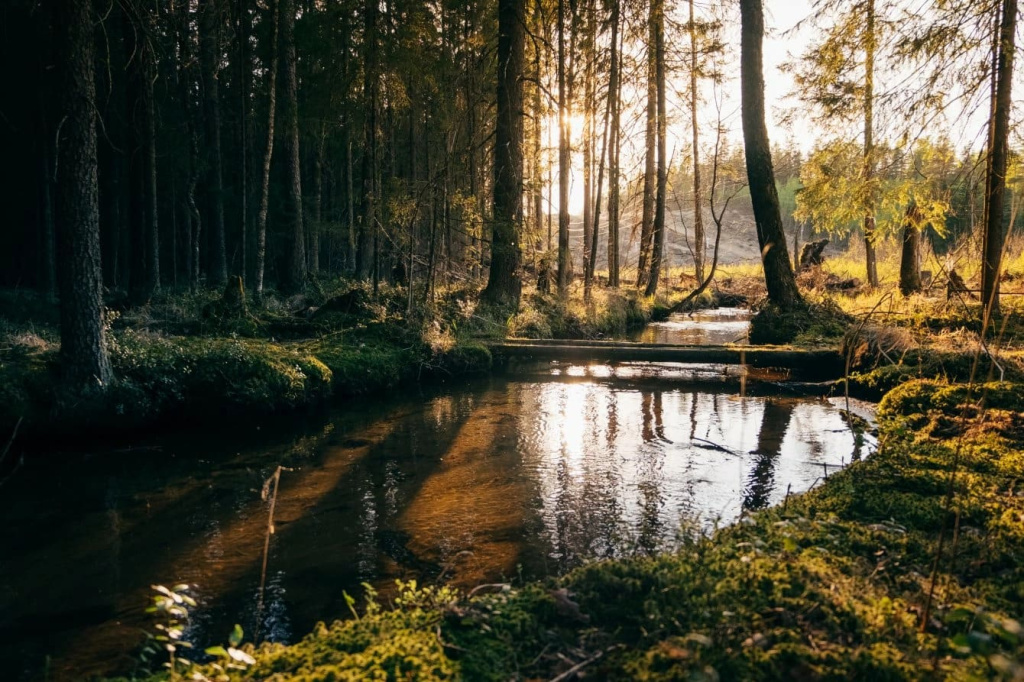 Каннельярви