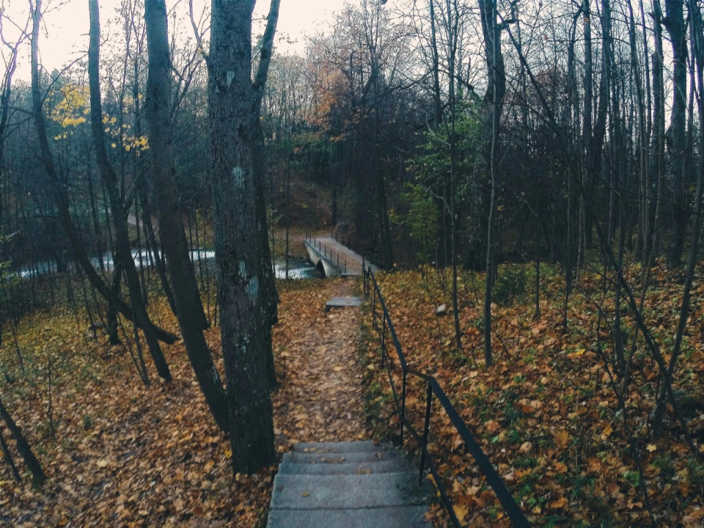 Дубовые рощи