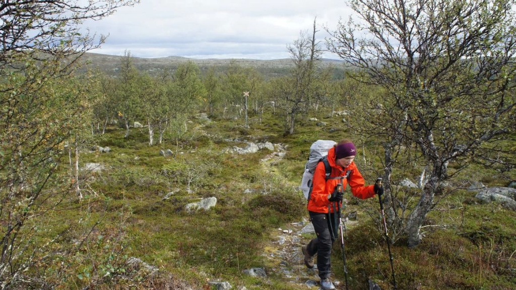 Шведская каменистая пустыня