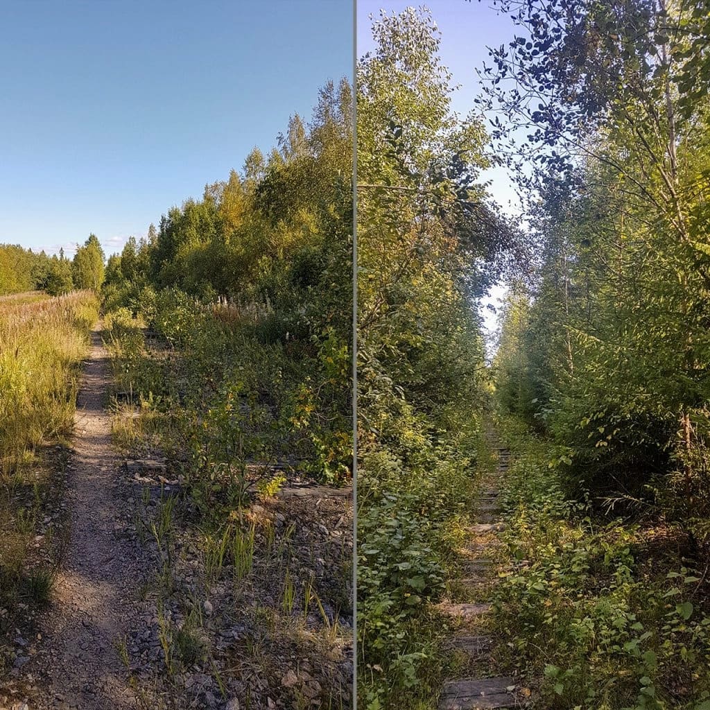 Вещево Вещево