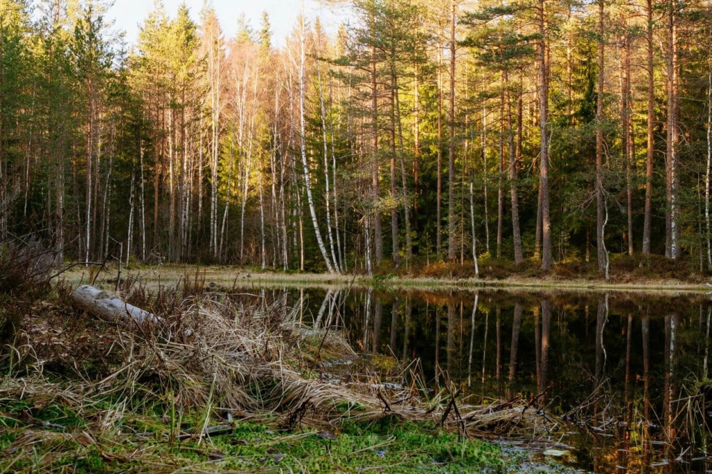 Озеро Чёрное