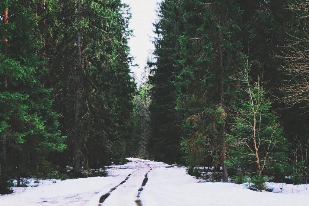 Линдуловская Роща