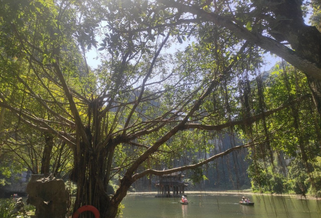 Выход из пещеры