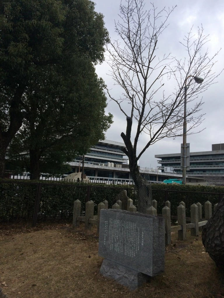 Могилка в Наре