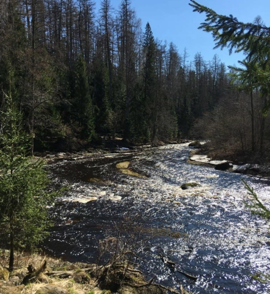 Поворот реки Рощинки