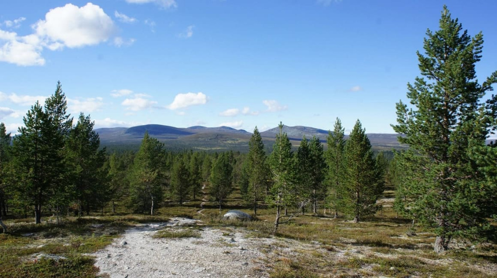 Скандинавия