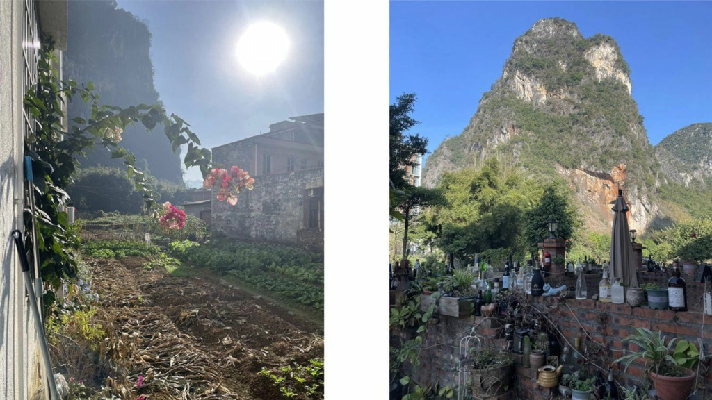 Грядки и гора