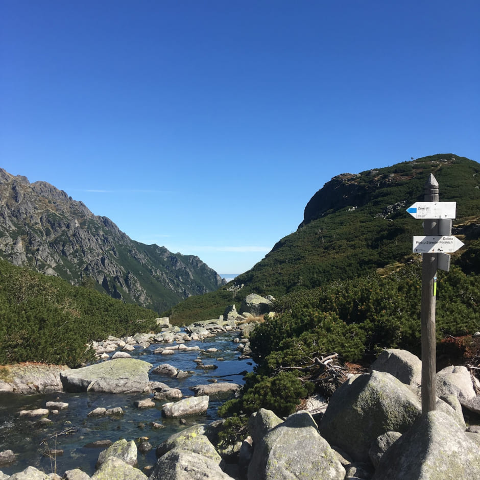 Указатели на маршруте