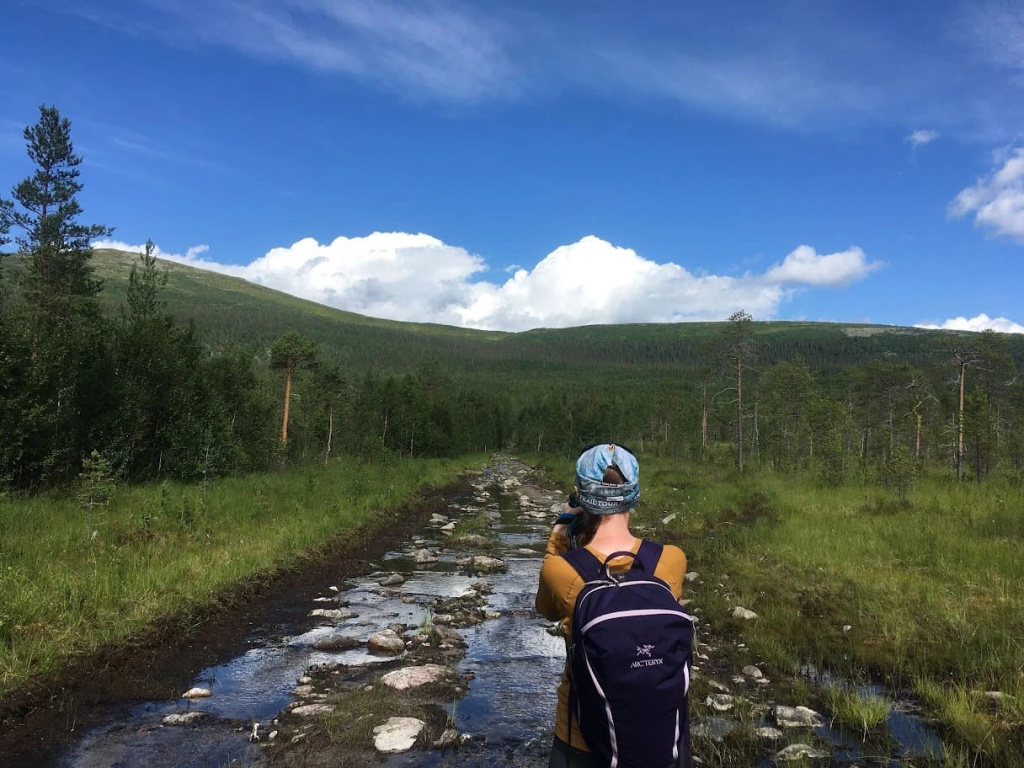 Лувеньгские тундры