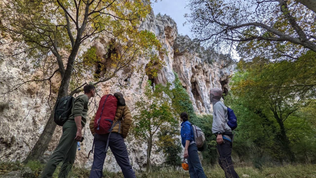 Сектор Trebenna west