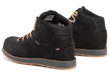 Ботинки Dachstein Hubert GTX