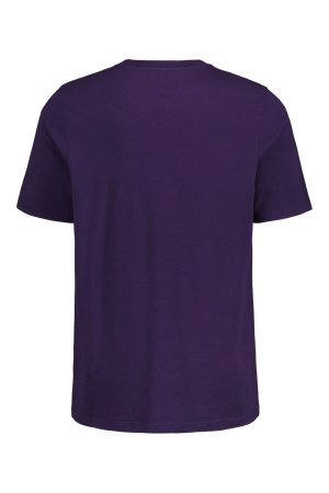 Мужская футболка Maloja RavaM