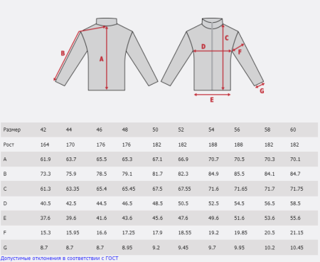 Мужской лонгслив SIVERA ГОДОБЛЬ Д