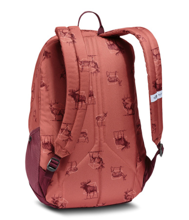 Рюкзак The North Face Wise Guy 27