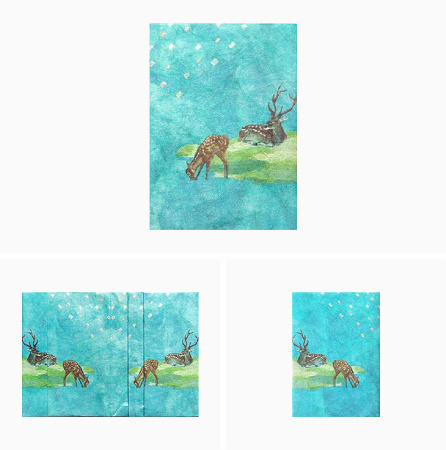 Обложка на паспорт Ecocnt Tyvek