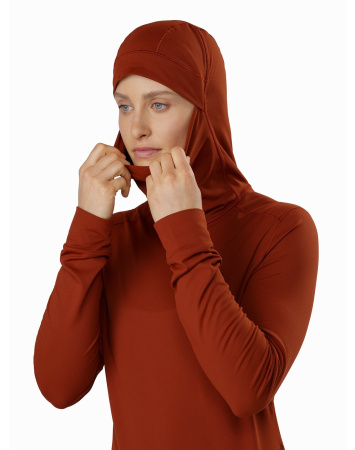 Толстовка ARCTERYX Vertices Hoody