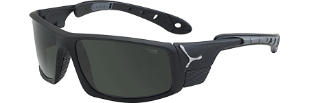 Очки CEBE ICE 8000