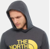 Футболка The North Face 24/7 Big Logo Hoodie