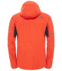 Куртка The North Face Arrano