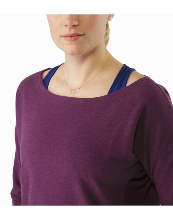 Свитер ARCTERYX Mini-Bird Sweatshirt Свитер ARCTERYX Mini-Bird Sweatshirt