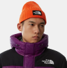 Шапка The North Face Logo Box Cuffed