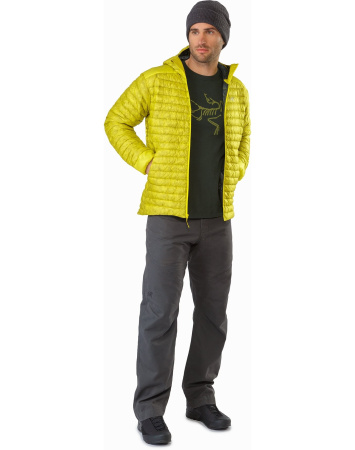 Футболка ARCTERYX Archaeopteryx SS