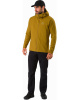 Куртка ARCTERYX Gamma LT Hoody