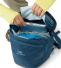 Рюкзак ARCTERYX Index 15