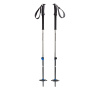 Палки BLACK DIAMOND Expedition 2 Ski Poles