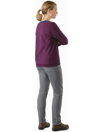 Свитер ARCTERYX Mini-Bird Sweatshirt Свитер ARCTERYX Mini-Bird Sweatshirt