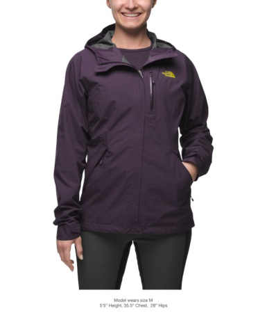 Куртка The North Face DRYZZLE