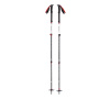 Палки BLACK DIAMOND EXPEDITION 3 Ski Poles