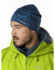 Шапка ARCTERYX Bird Head Toque