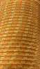 Gilmonte шнур альп 5 мм (orange)