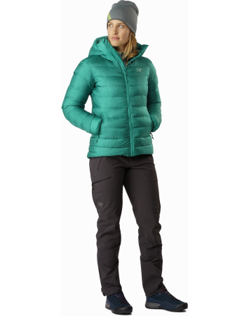 Куртка ARCTERYX Cerium SV Hoody