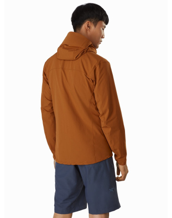 Куртка ARCTERYX Gamma SL Hoody